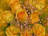 bouquet-1739819_1280